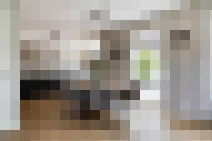 de Dinkel 7 Delden thumbnail 13
