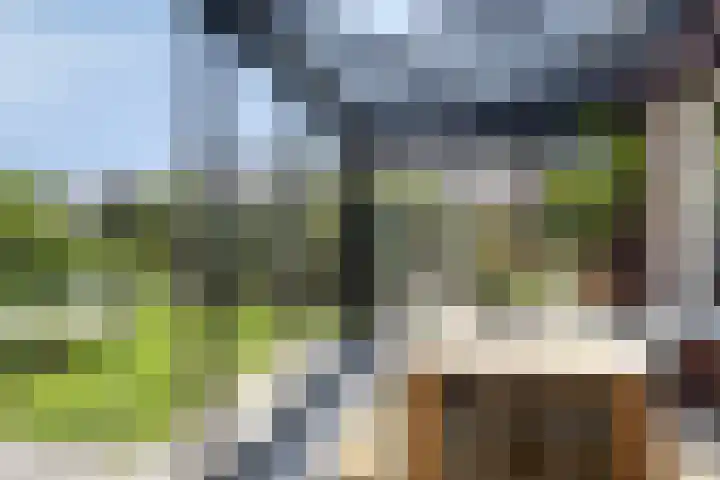 de Dinkel 7 Delden thumbnail 28