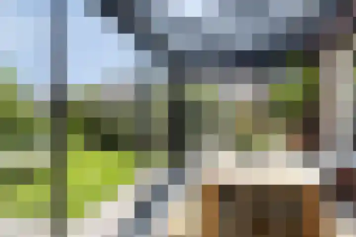 de Dinkel 7 Delden thumbnail 29