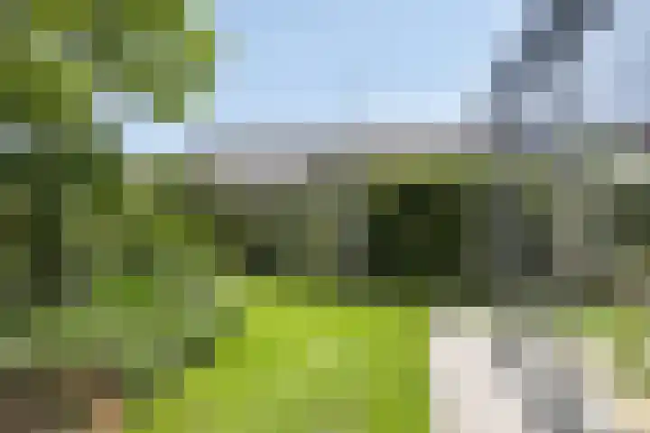 de Dinkel 7 Delden thumbnail 30