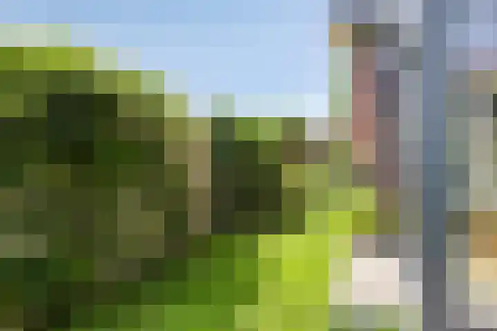 de Dinkel 7 Delden thumbnail 32