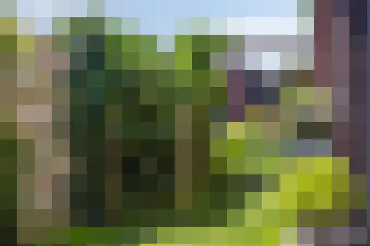 de Dinkel 7 Delden thumbnail 34