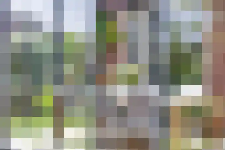 de Dinkel 7 Delden thumbnail 35