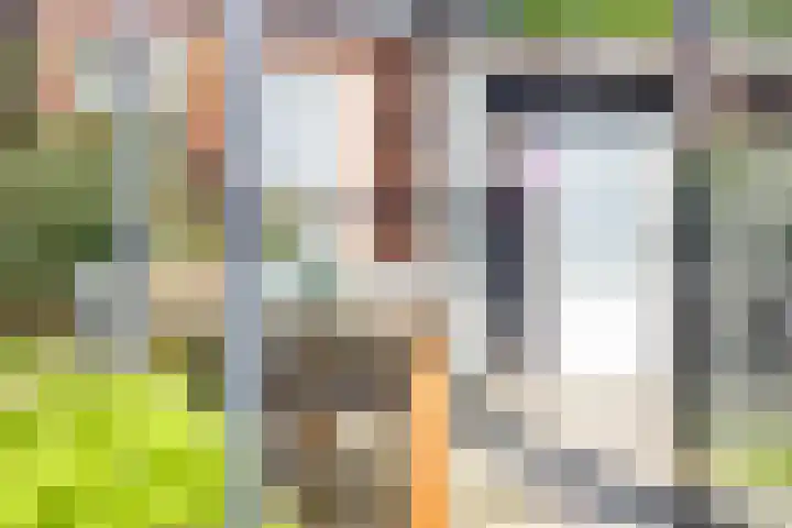 de Dinkel 7 Delden thumbnail 36