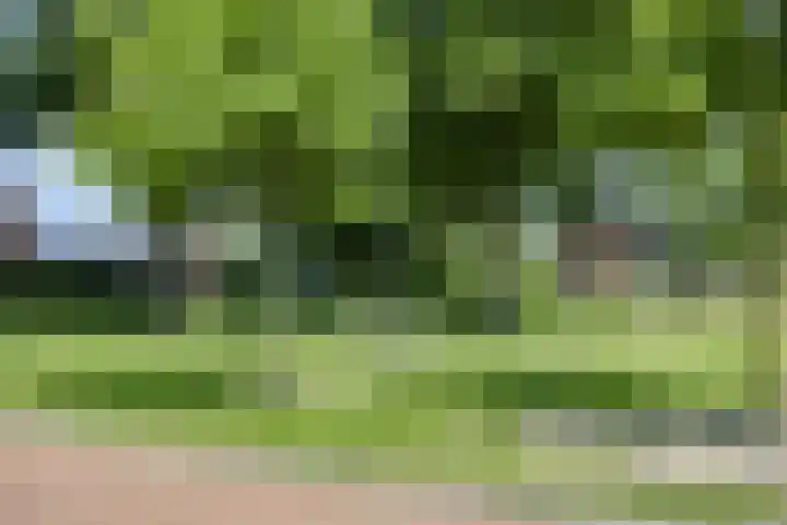 de Dinkel 7 Delden thumbnail 38