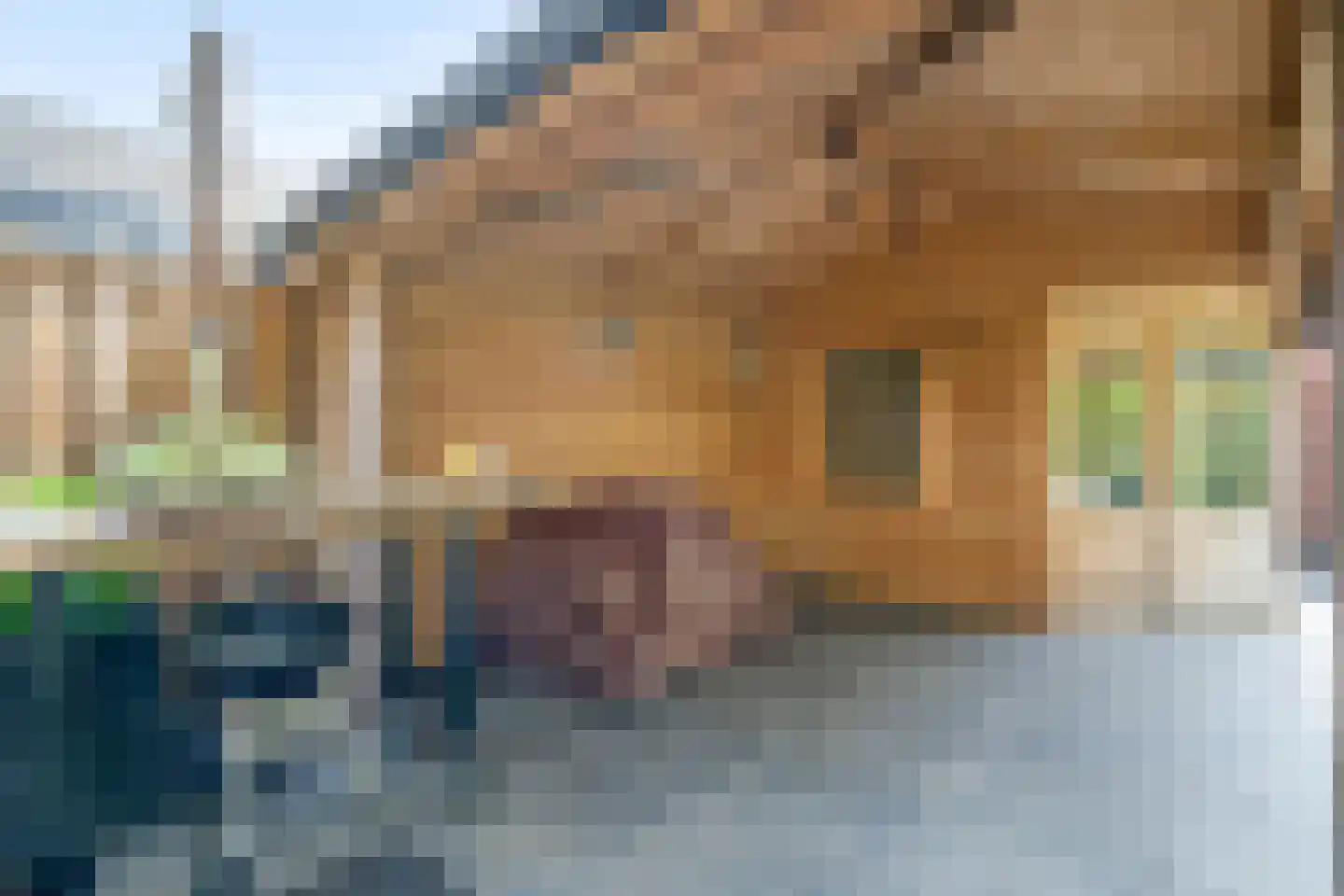 de Dinkel 9 Delden thumbnail 47