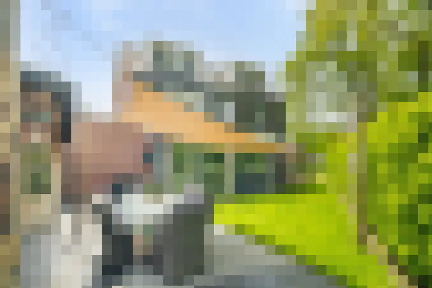 de Dinkel 9 Delden thumbnail 5