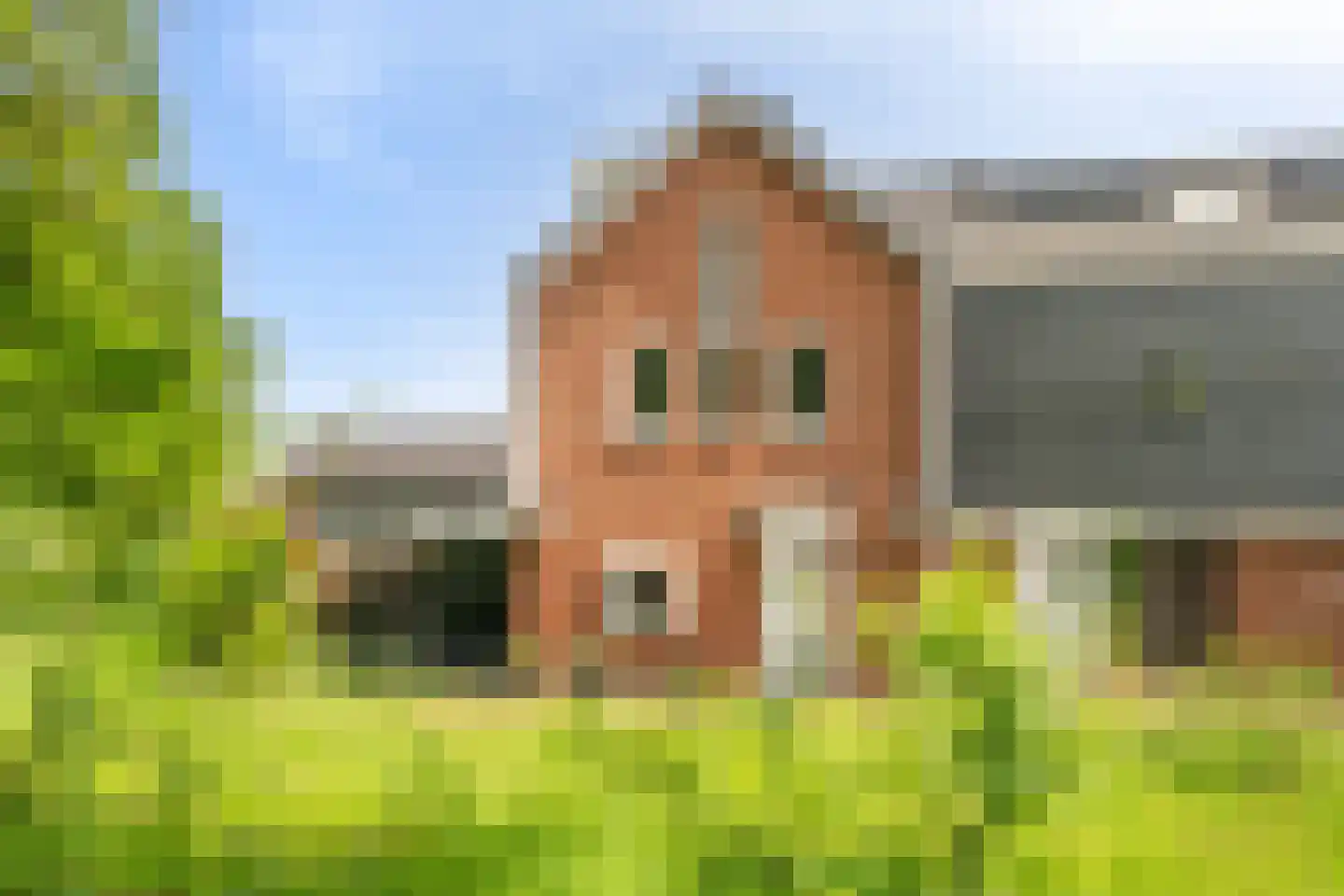 de Dinkel 9 Delden thumbnail 9