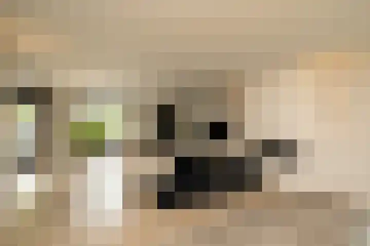 De Dintel 15 Naaldwijk thumbnail 11