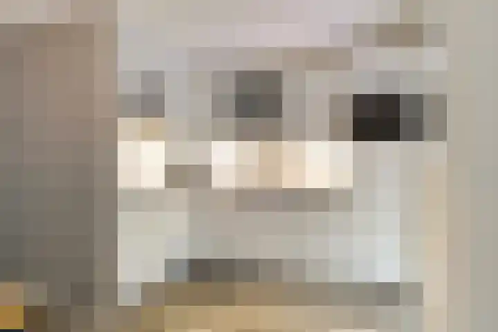 De Dintel 21 Naaldwijk thumbnail 10