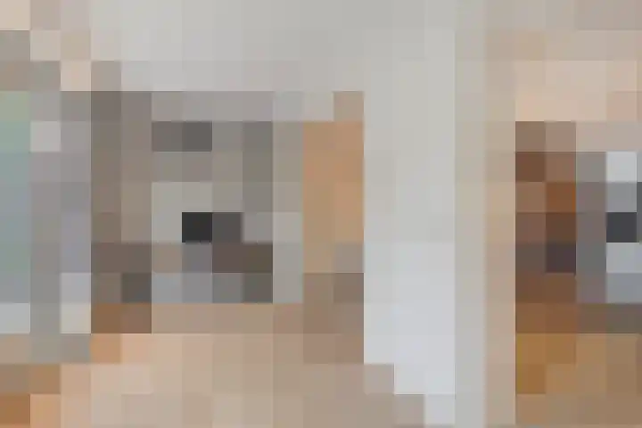 De Dintel 21 Naaldwijk thumbnail 12
