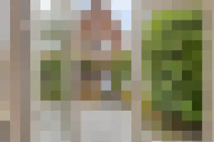De Dintel 21 Naaldwijk thumbnail 13