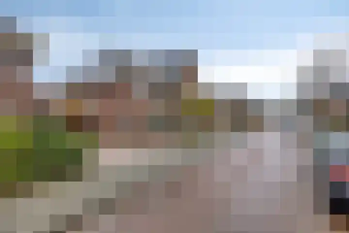 De Dintel 21 Naaldwijk foto 2