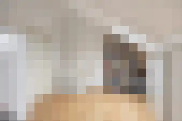 De Dintel 21 Naaldwijk thumbnail 23
