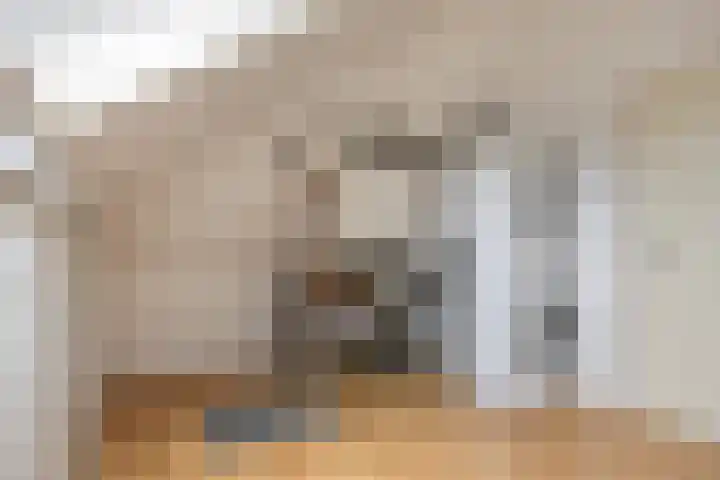 De Dintel 21 Naaldwijk thumbnail 24