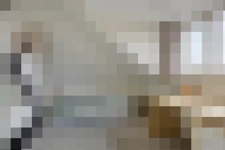 De Dintel 21 Naaldwijk thumbnail 25