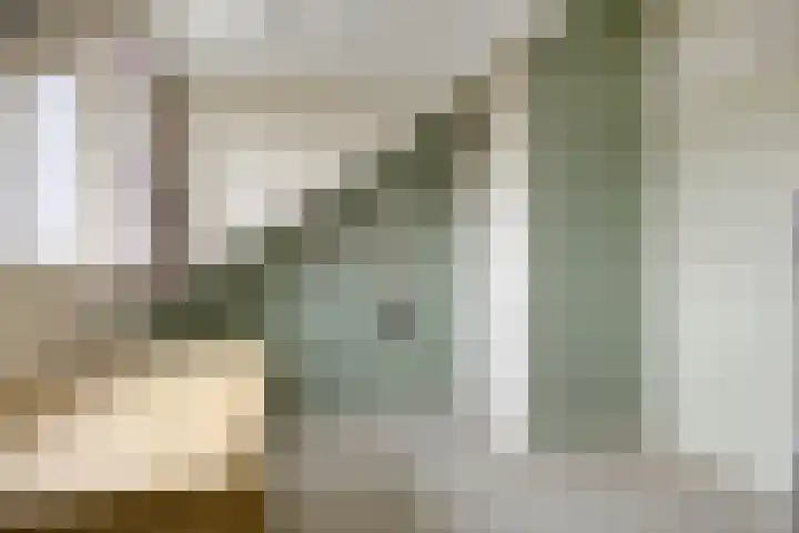 De Dintel 21 Naaldwijk thumbnail 27