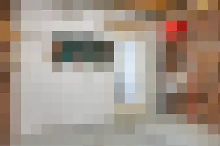 De Dintel 21 Naaldwijk thumbnail 29