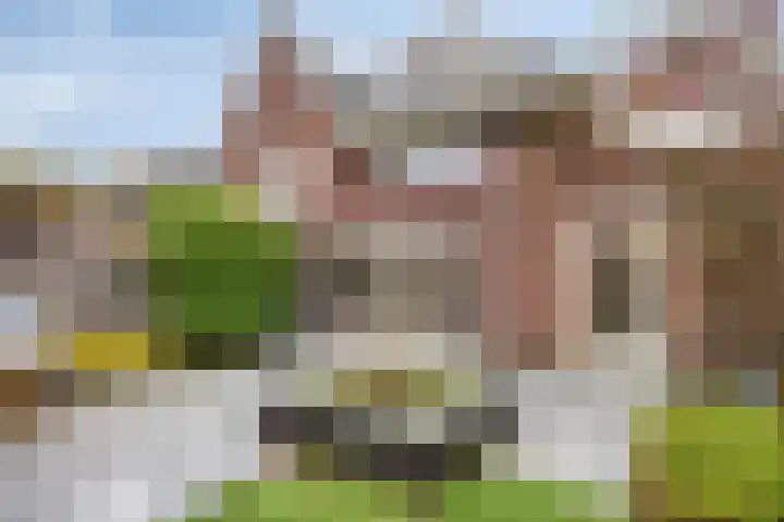 De Dintel 21 Naaldwijk thumbnail 30
