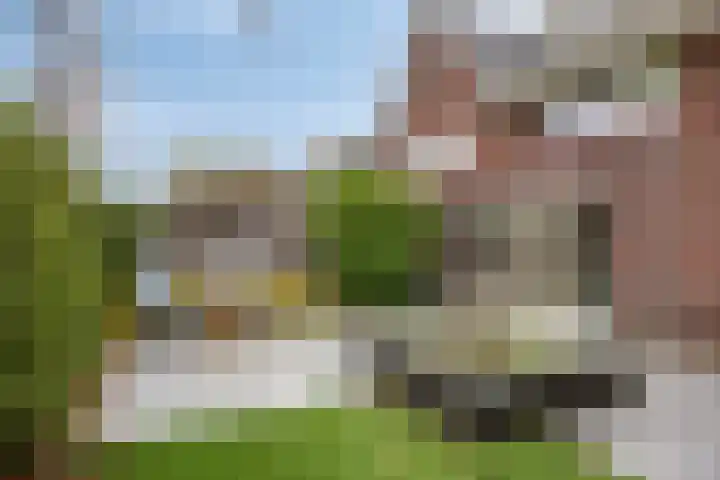 De Dintel 21 Naaldwijk thumbnail 31