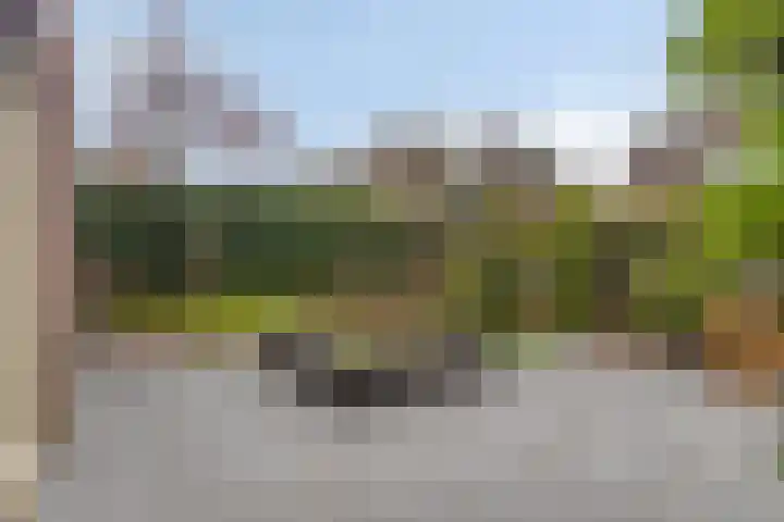 De Dintel 21 Naaldwijk thumbnail 32