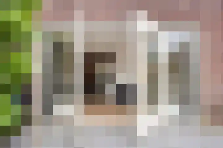 De Dintel 21 Naaldwijk thumbnail 33