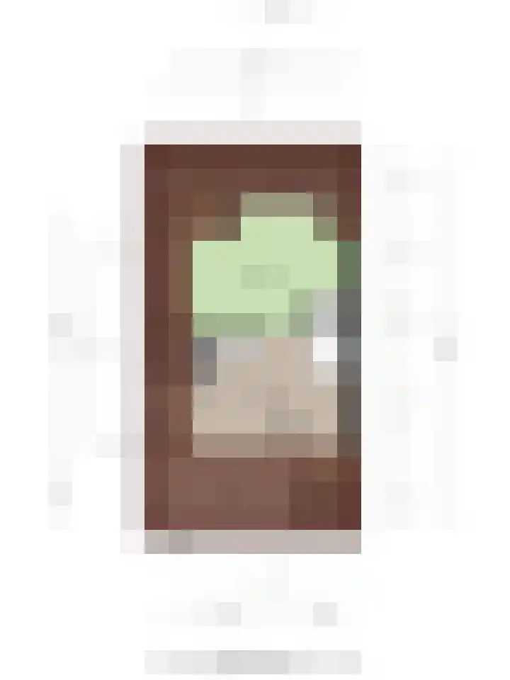 De Dintel 21 Naaldwijk thumbnail 36