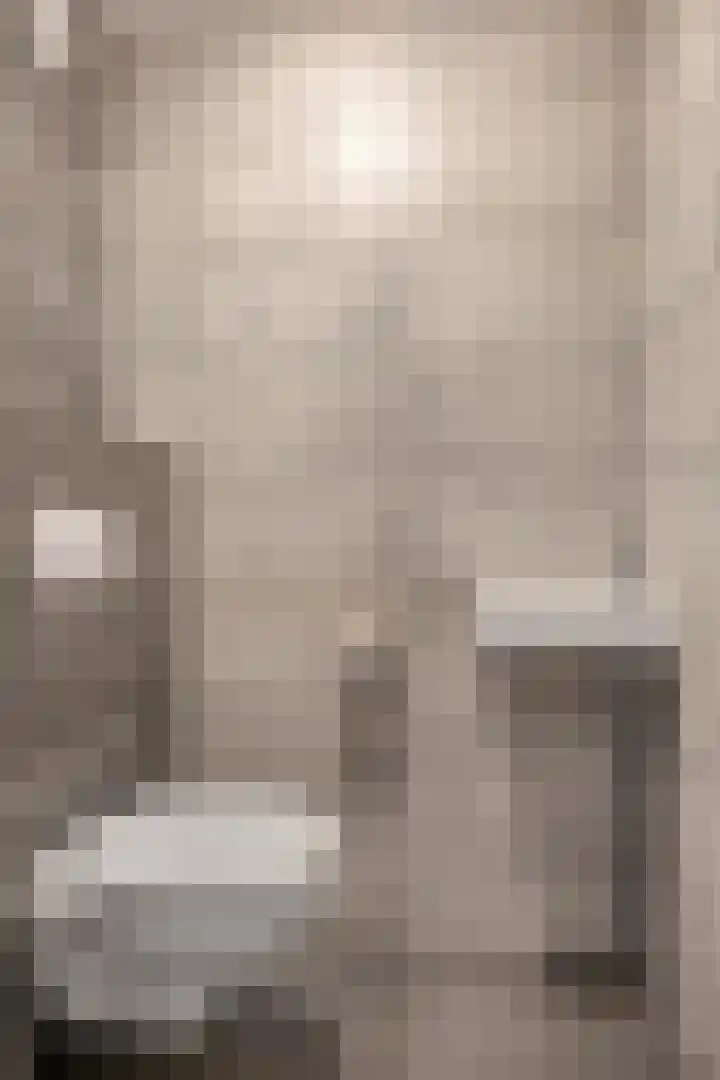 De Dintel 21 Naaldwijk thumbnail 6