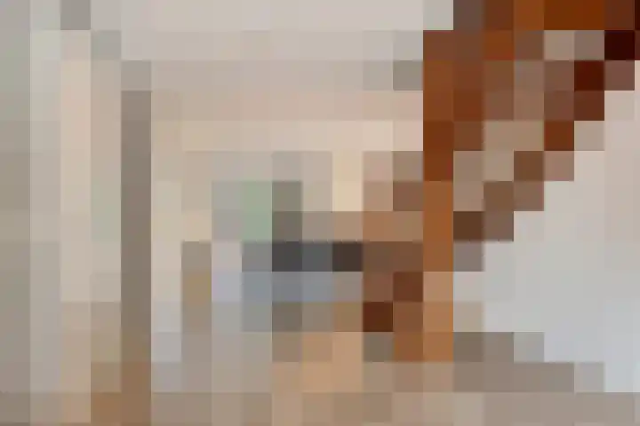 De Dintel 21 Naaldwijk thumbnail 9