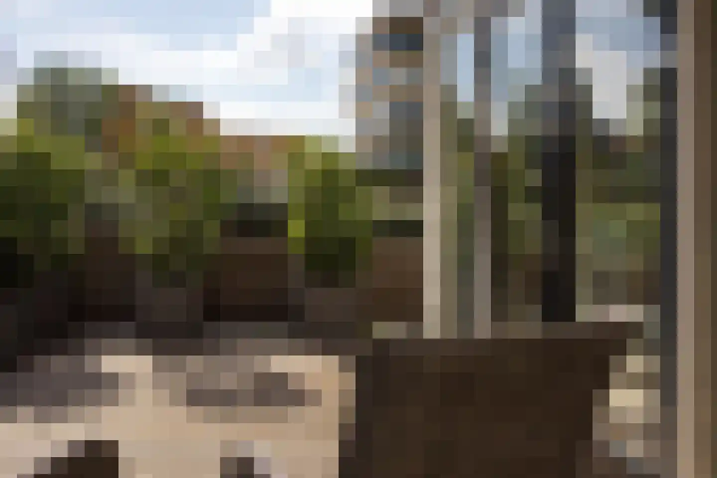 De Dintel 26 Naaldwijk thumbnail 15