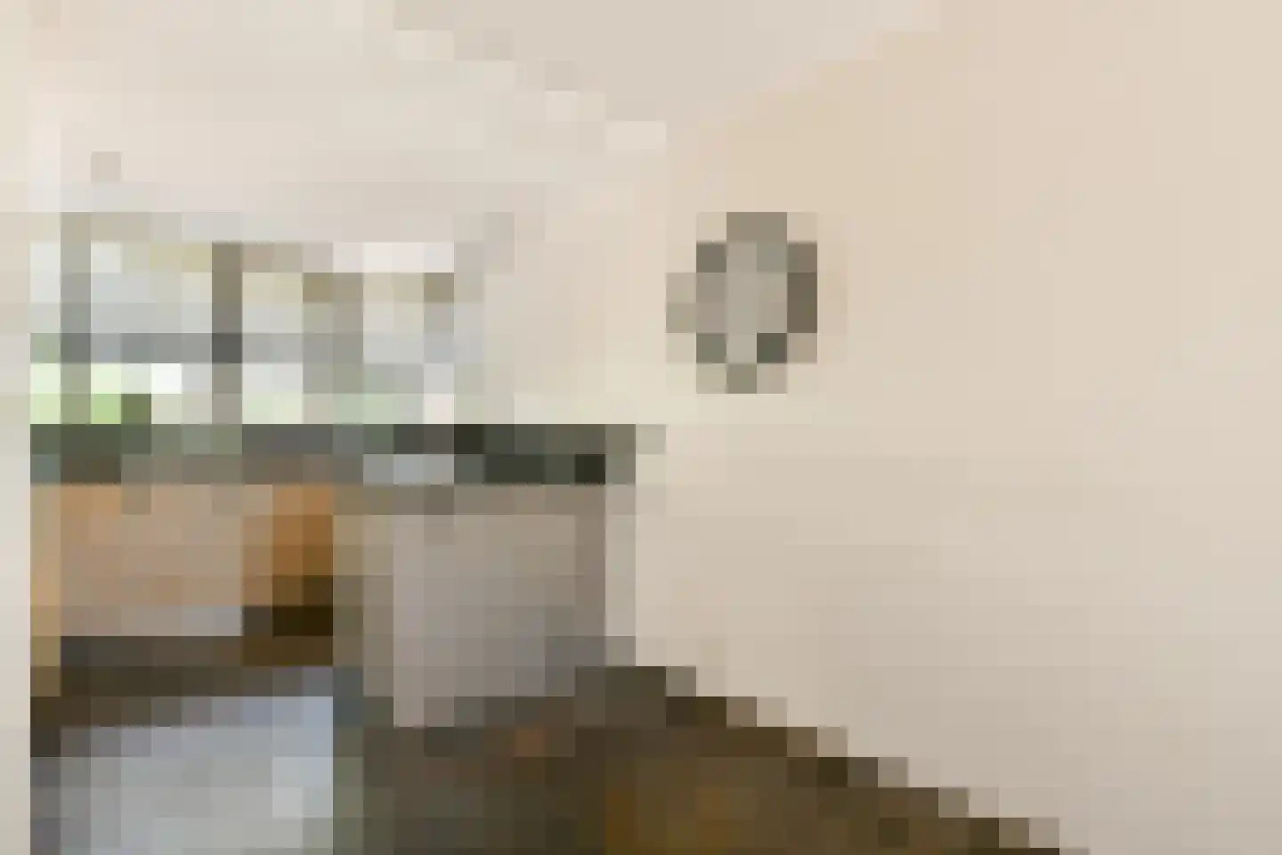 De Dintel 26 Naaldwijk thumbnail 16