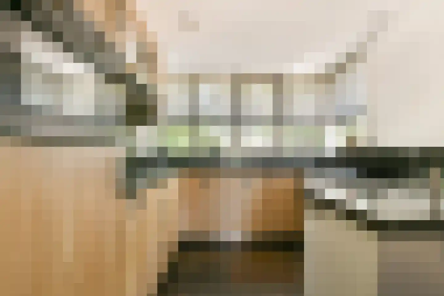 De Dintel 26 Naaldwijk thumbnail 17