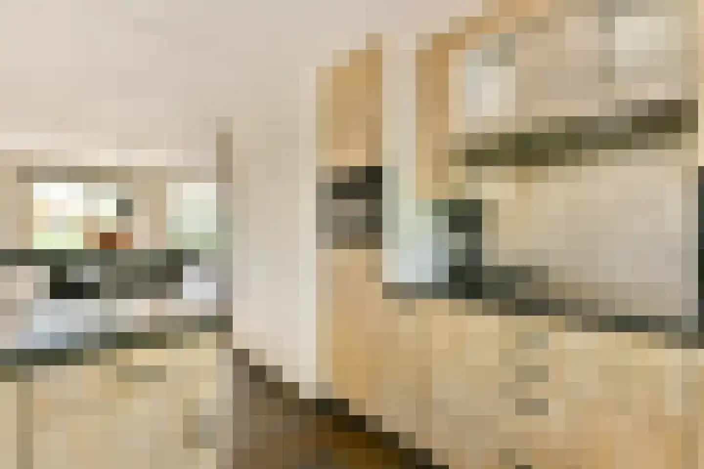 De Dintel 26 Naaldwijk thumbnail 18