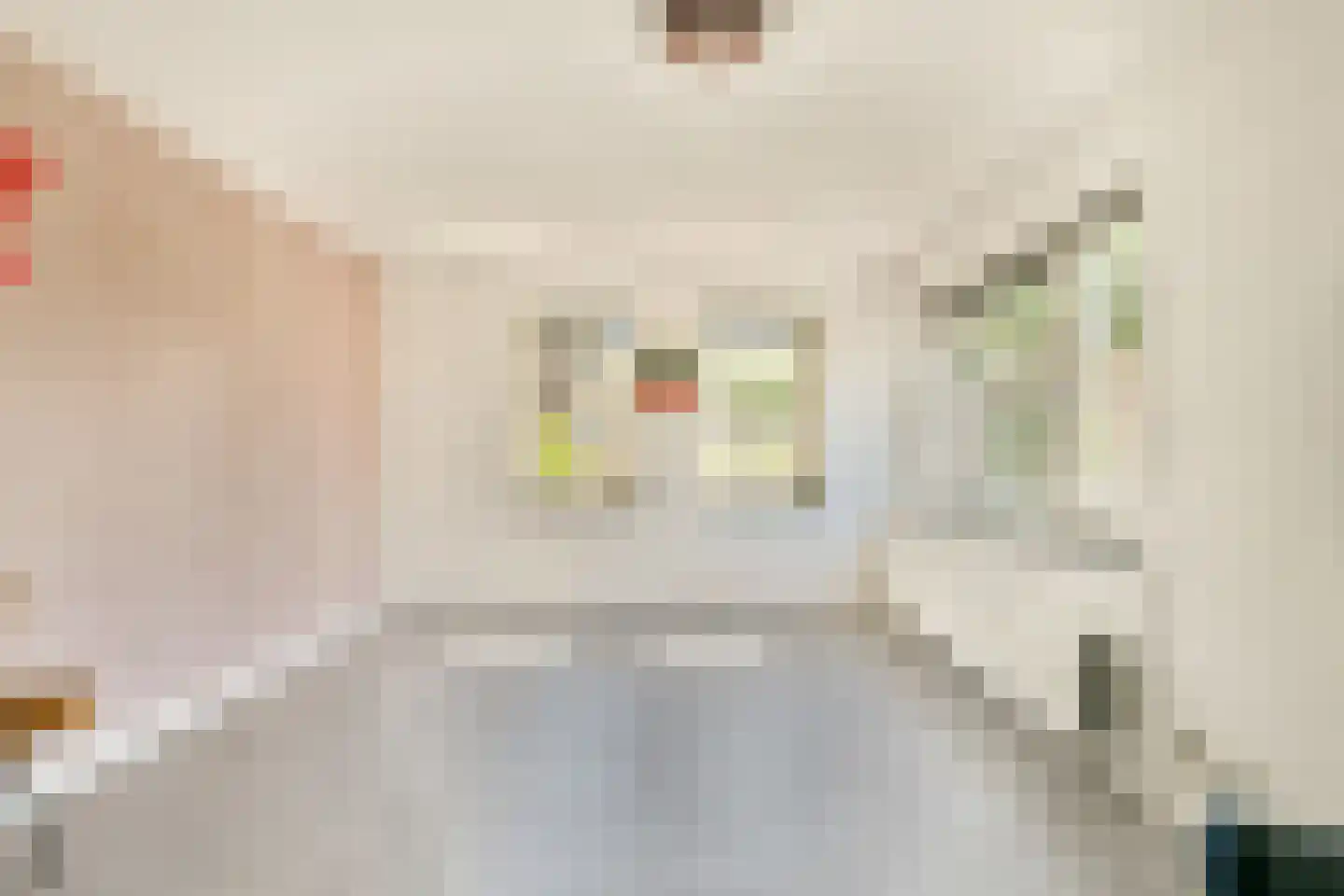 De Dintel 26 Naaldwijk thumbnail 21