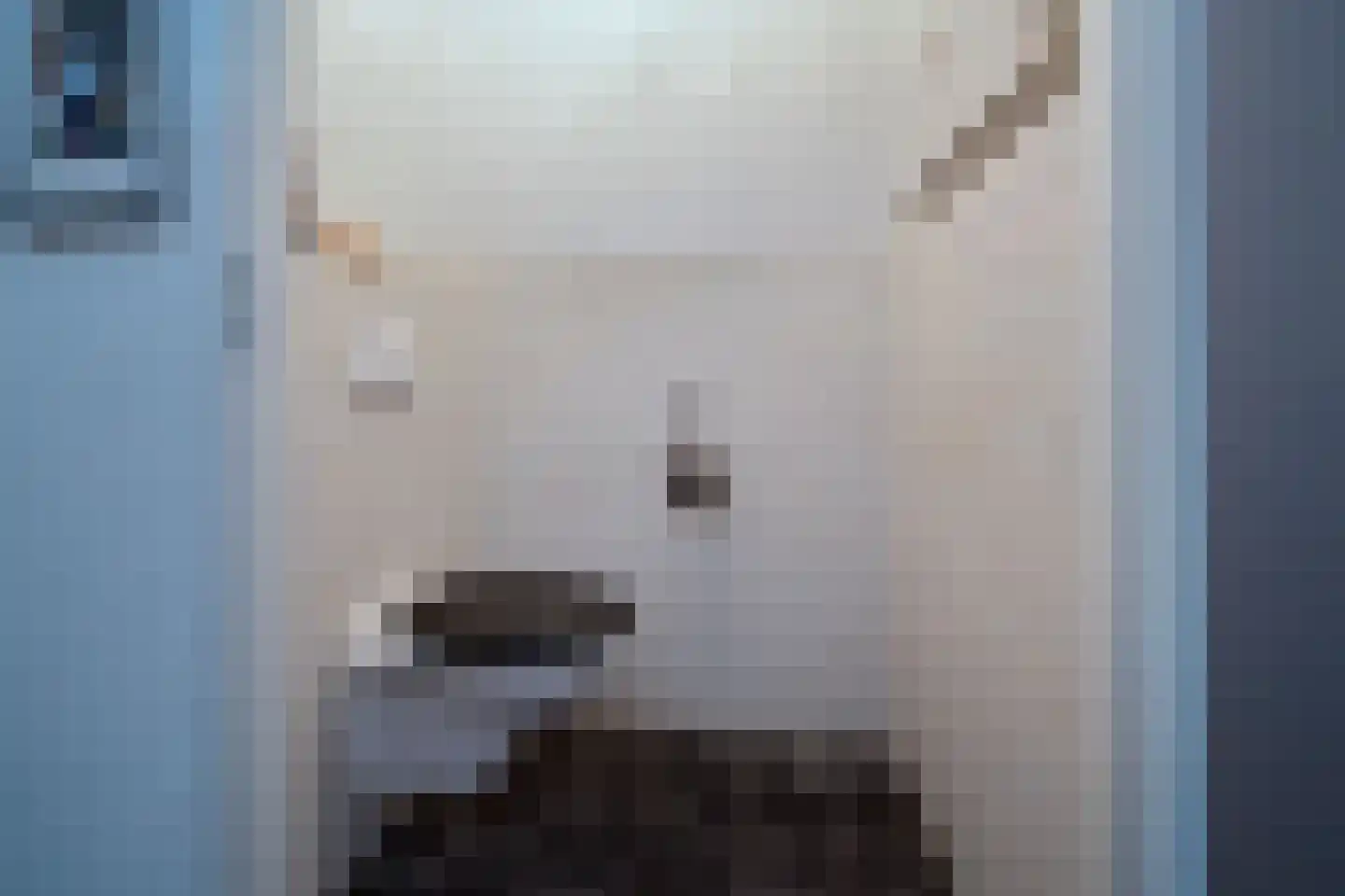 De Dintel 26 Naaldwijk thumbnail 22
