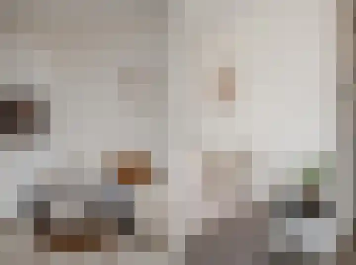 De Dintel 26 Naaldwijk thumbnail 26