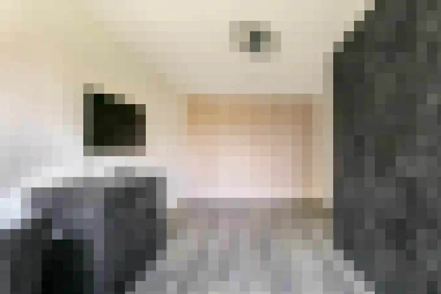 De Dintel 26 Naaldwijk thumbnail 27