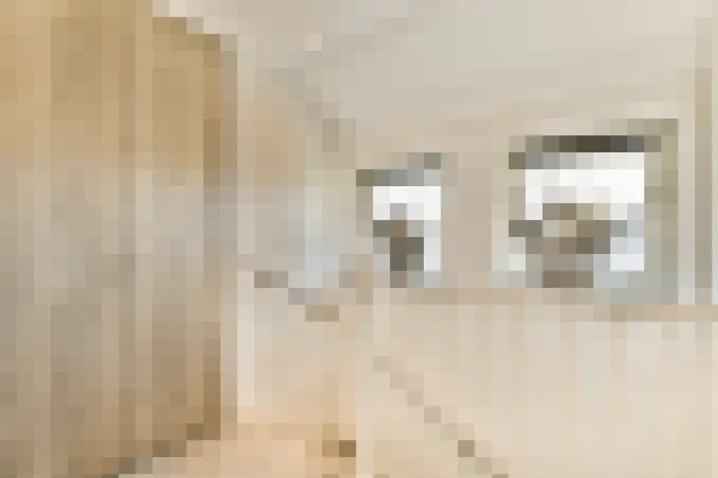 De Dintel 26 Naaldwijk thumbnail 29