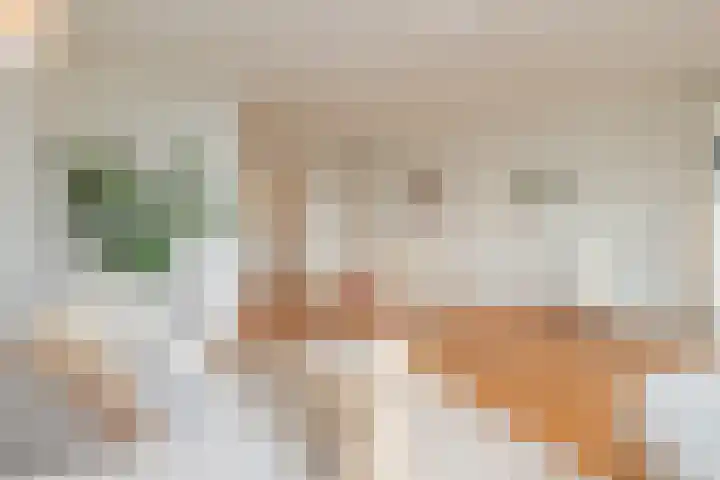 De Dintel 26 Naaldwijk foto 3