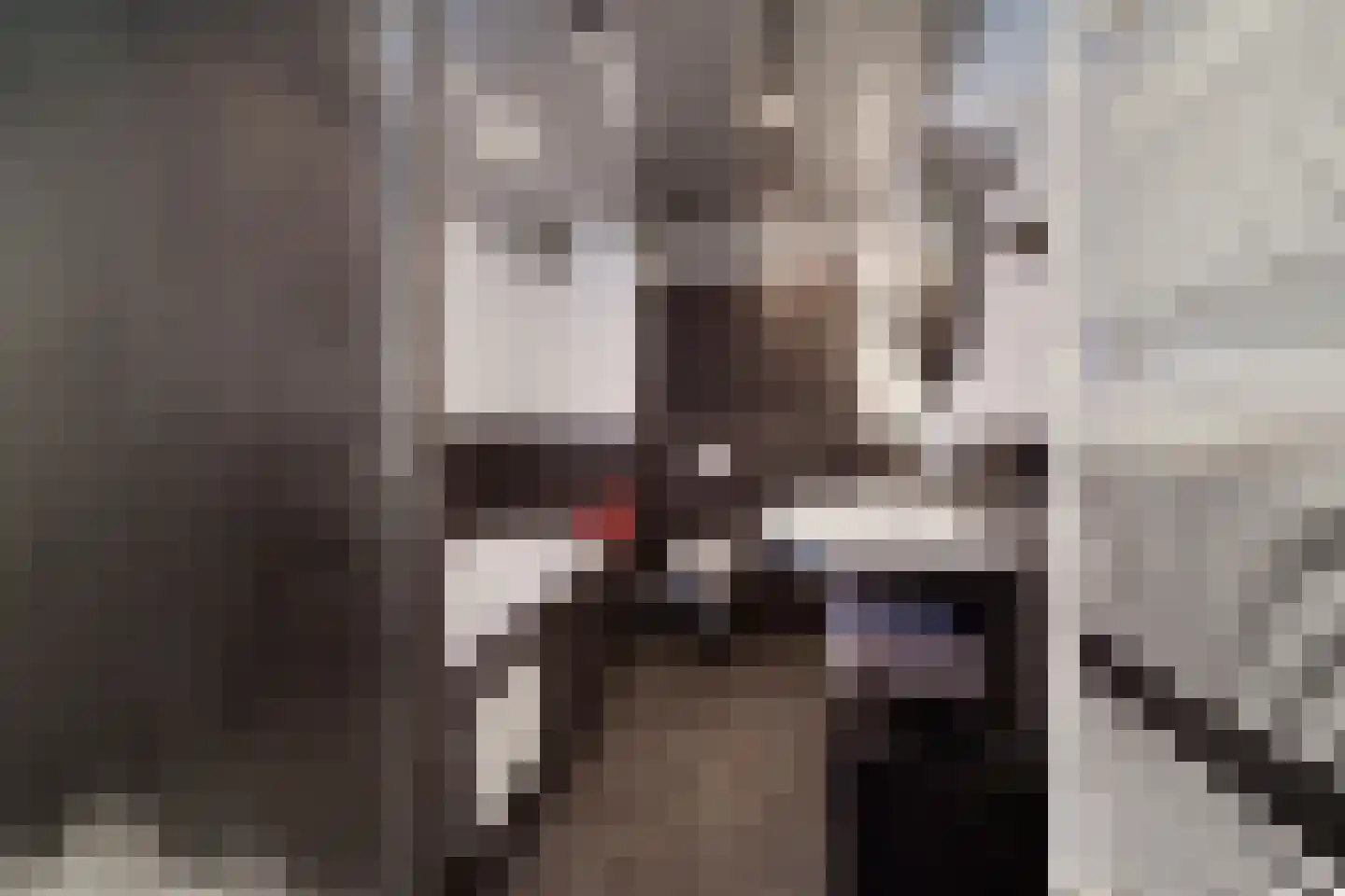 De Dintel 26 Naaldwijk thumbnail 30