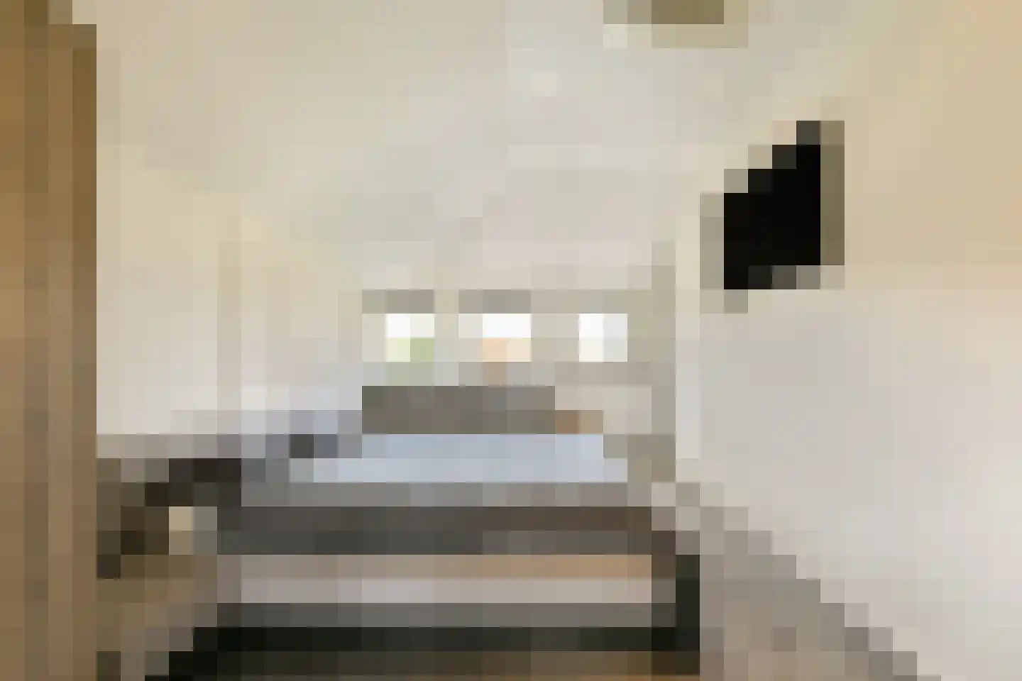 De Dintel 26 Naaldwijk thumbnail 31