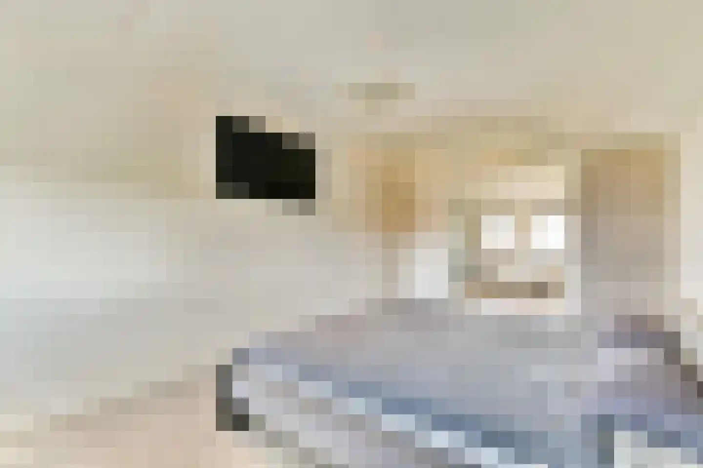 De Dintel 26 Naaldwijk thumbnail 32