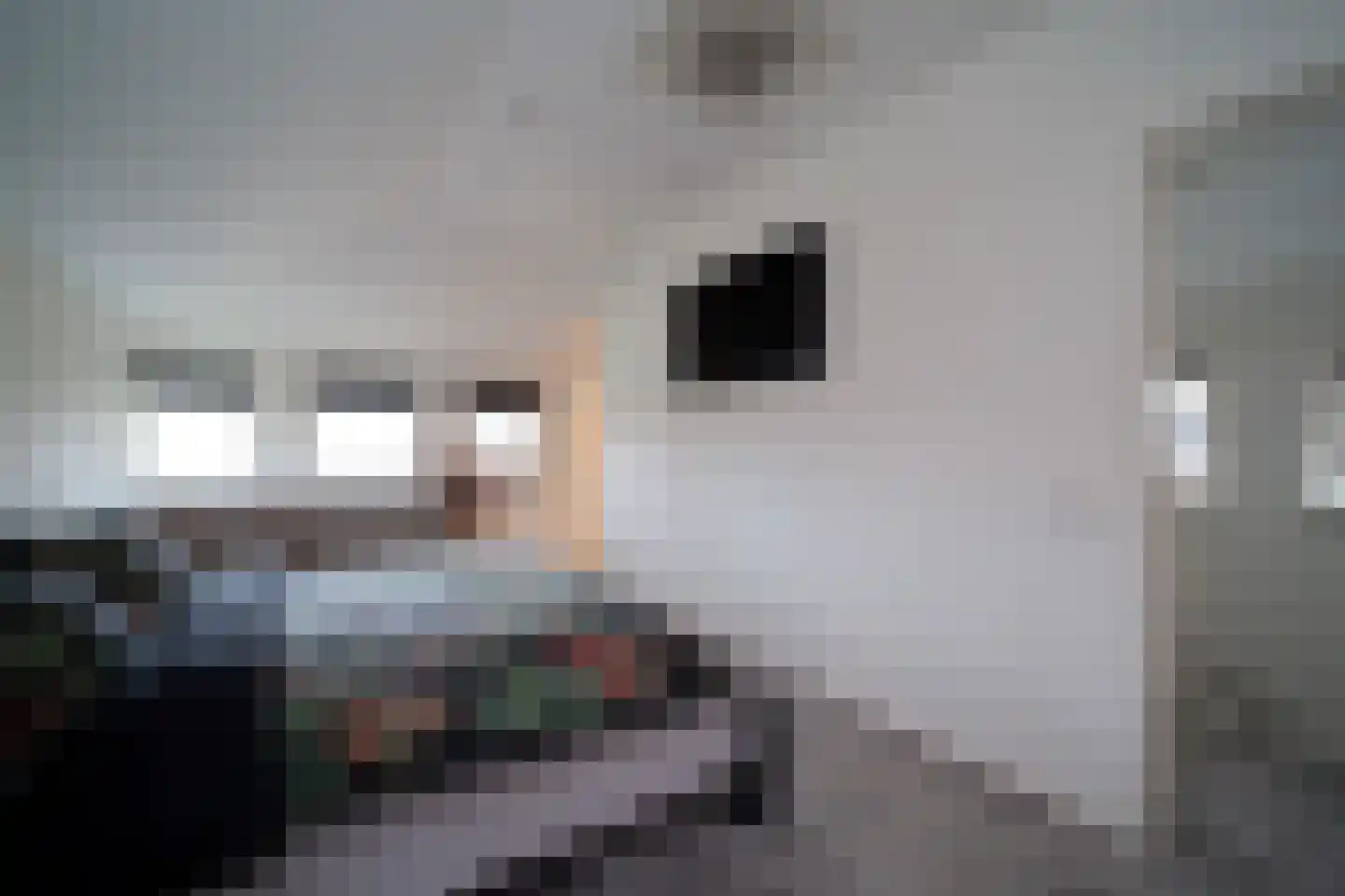 De Dintel 26 Naaldwijk thumbnail 33