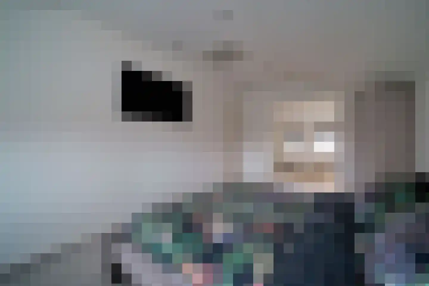 De Dintel 26 Naaldwijk thumbnail 34