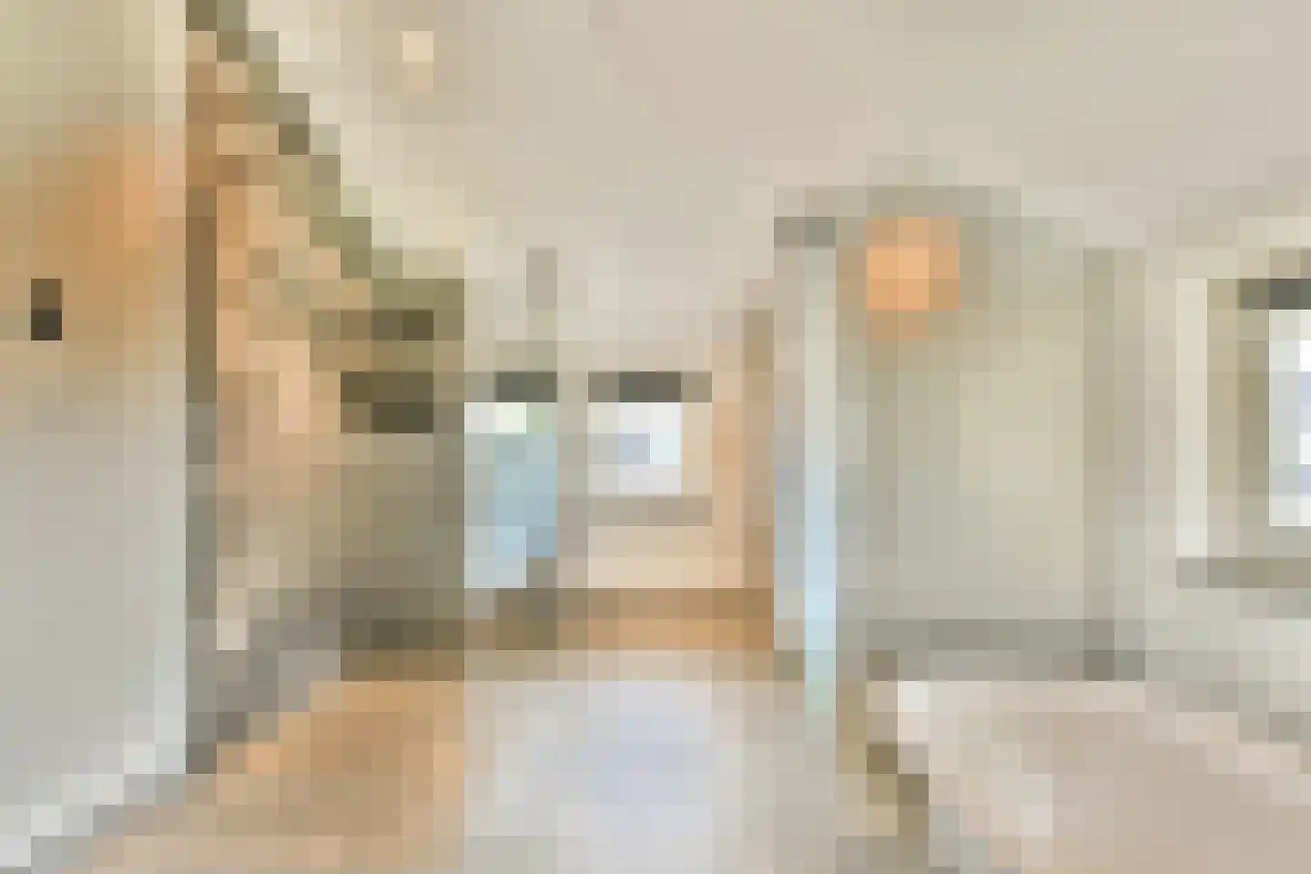 De Dintel 26 Naaldwijk thumbnail 35