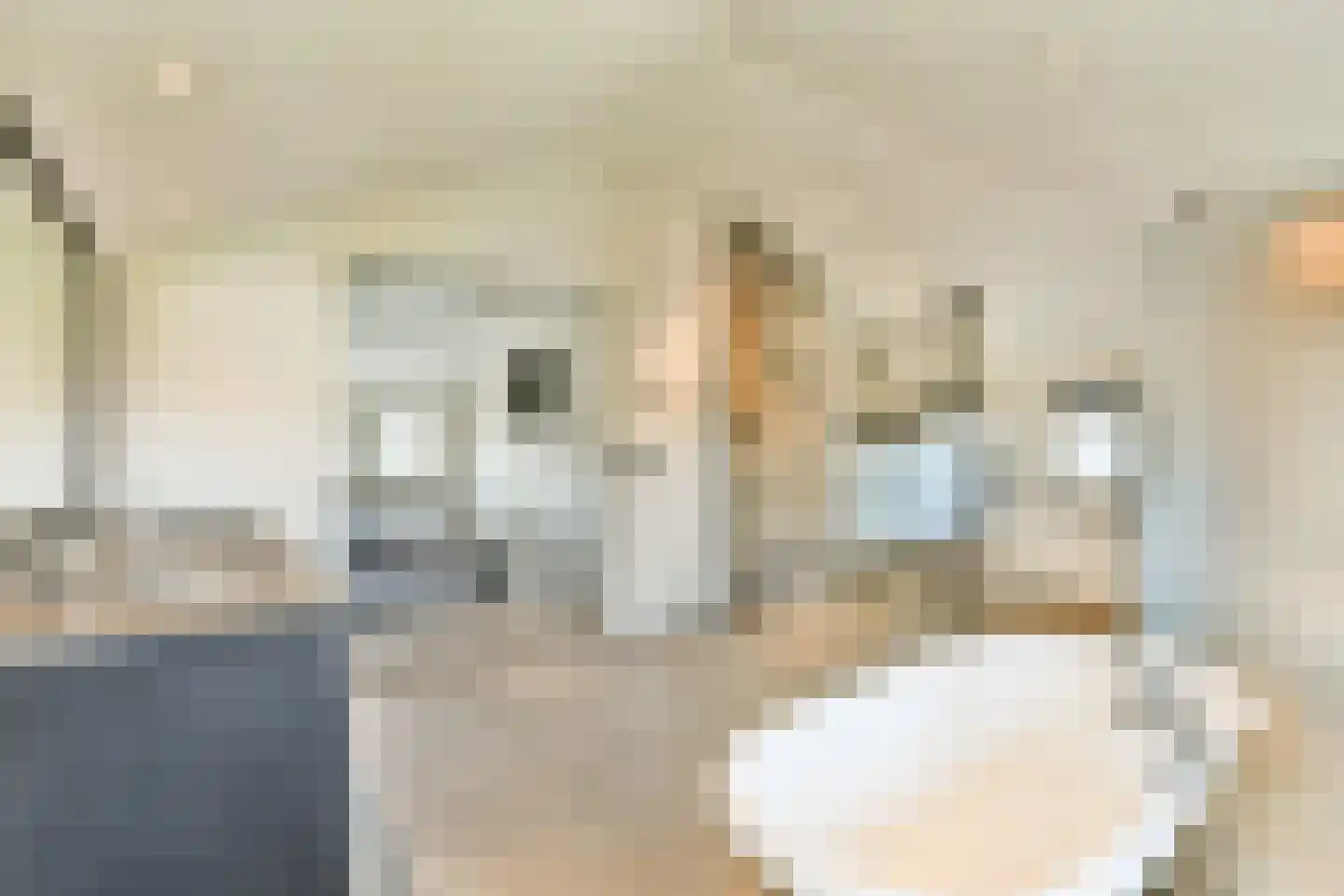 De Dintel 26 Naaldwijk thumbnail 36