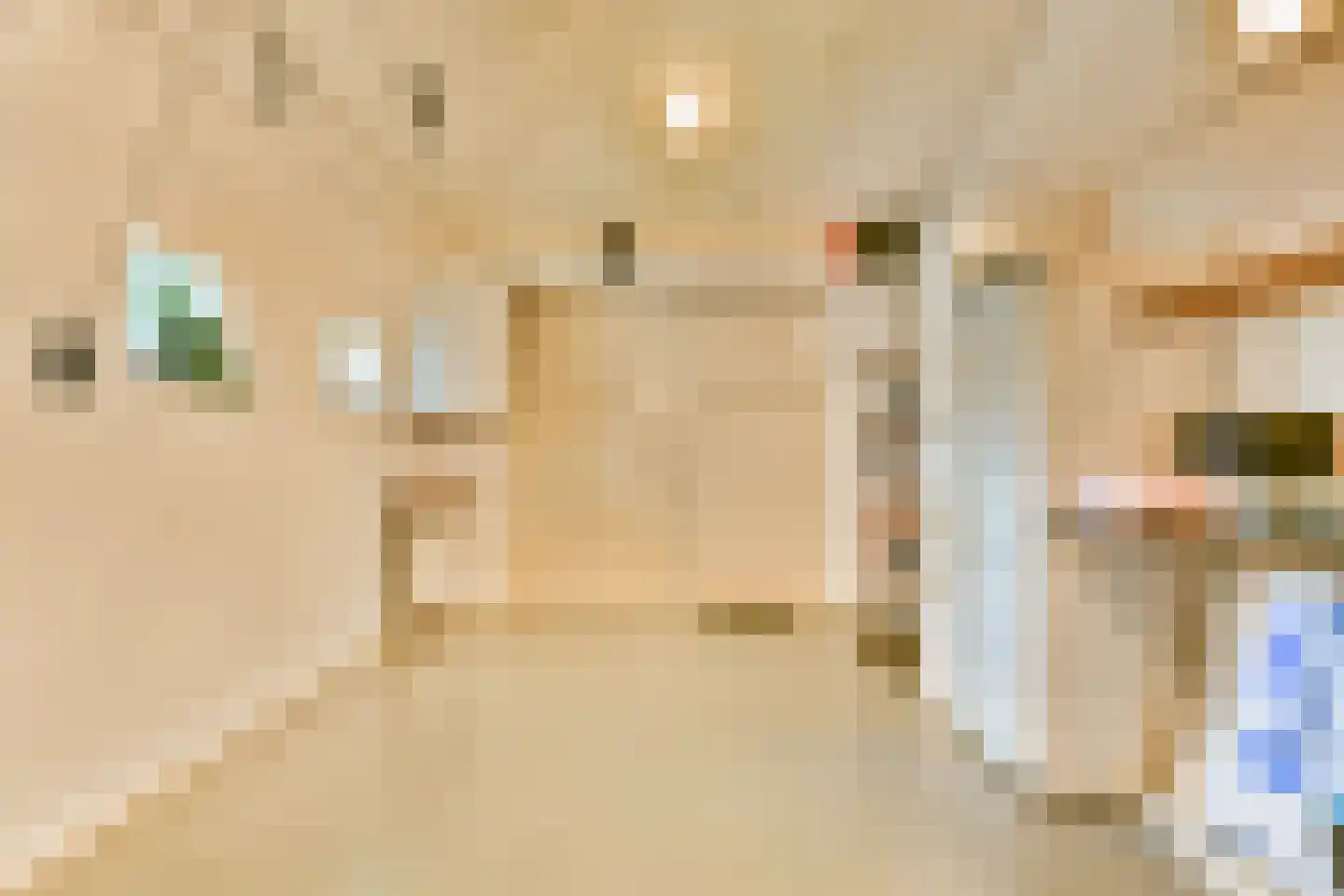 De Dintel 26 Naaldwijk thumbnail 38