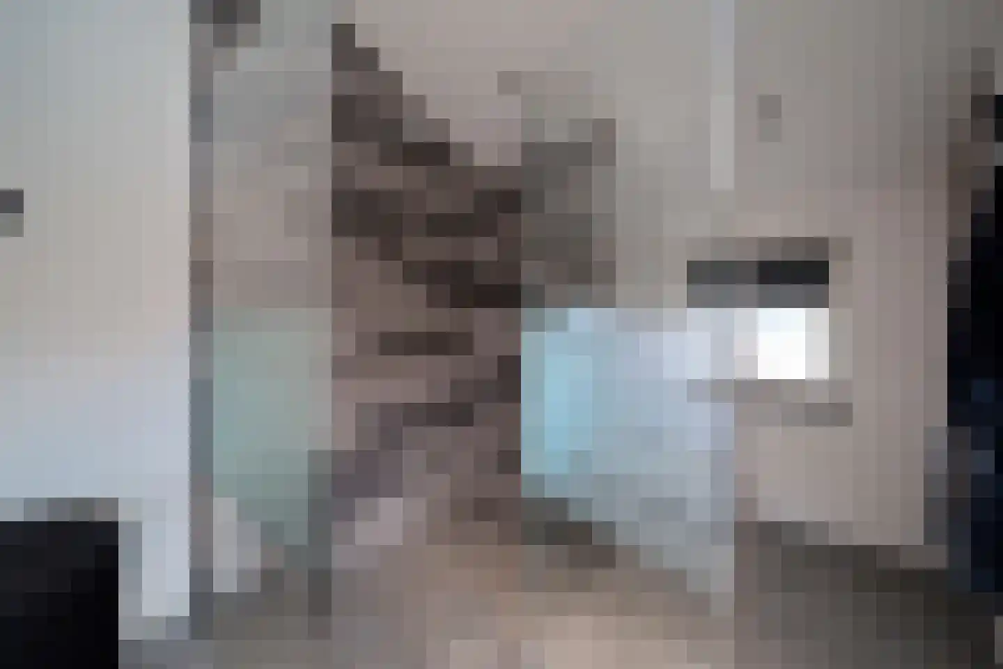 De Dintel 26 Naaldwijk thumbnail 40