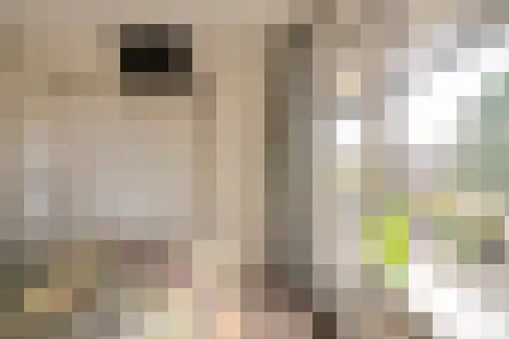 De Dintel 26 Naaldwijk thumbnail 42