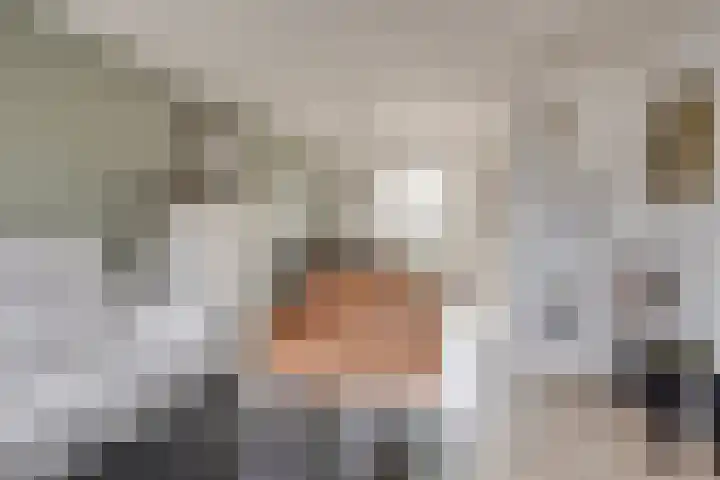 De Dintel 26 Naaldwijk thumbnail 44